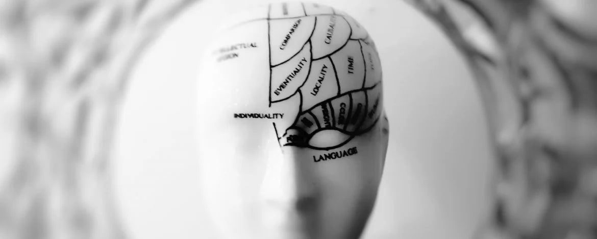 Wat doet Dopamine met je lichaam? | Natuurlijk Presteren