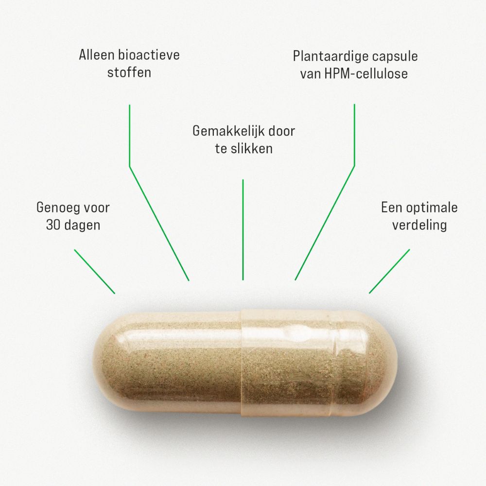 Menopause Premium