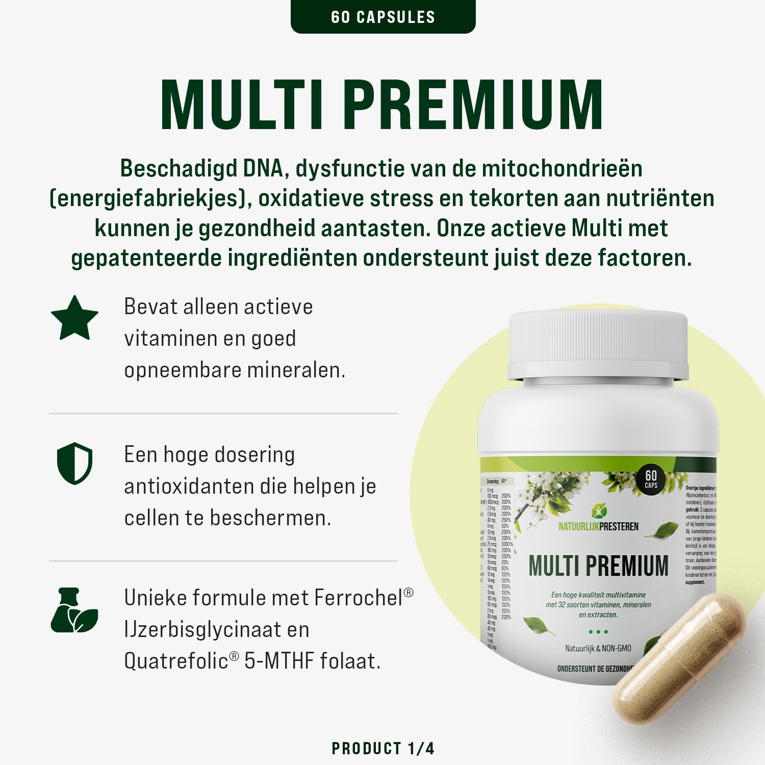 Basics Premium Bundel - 6 maanden