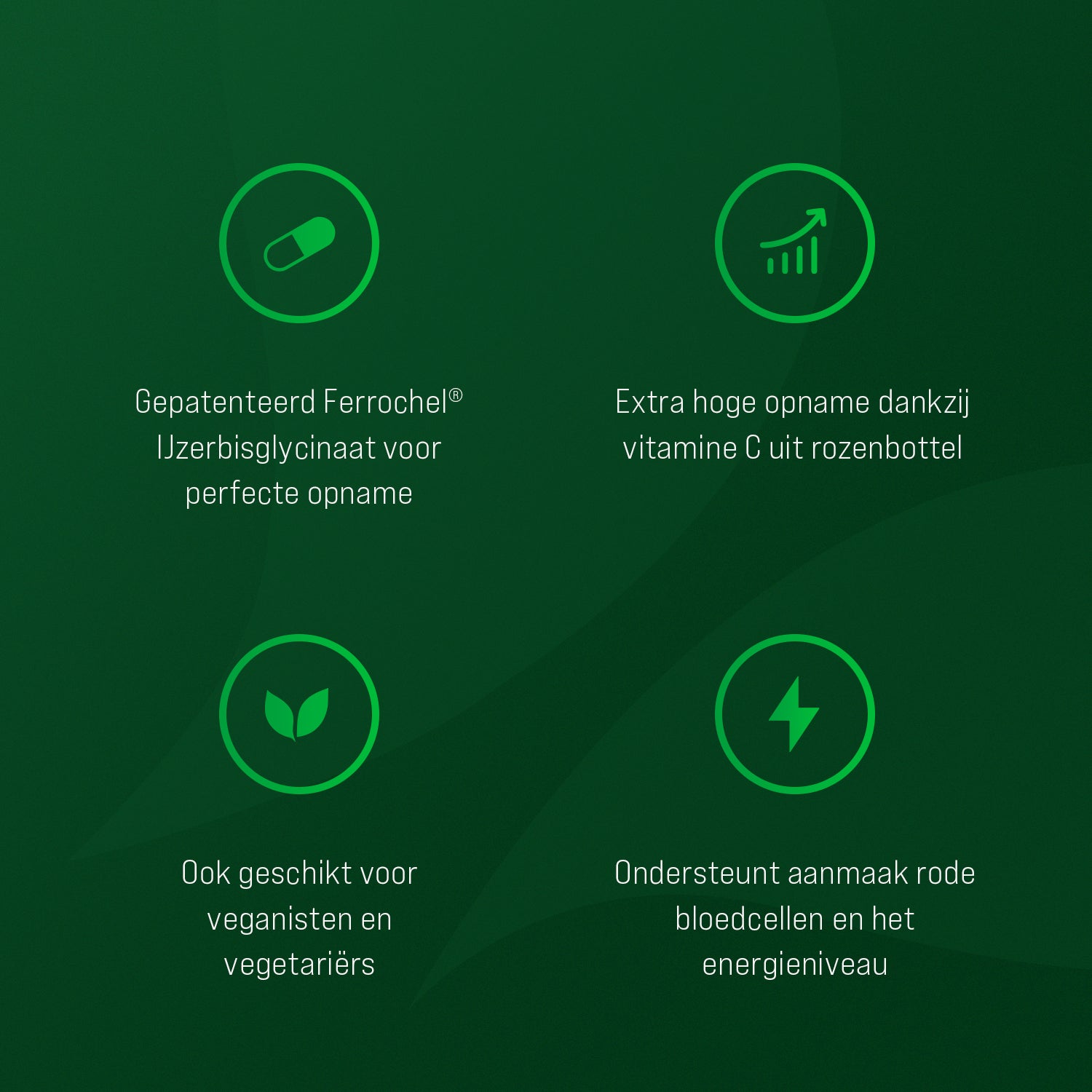 IJzer Premium