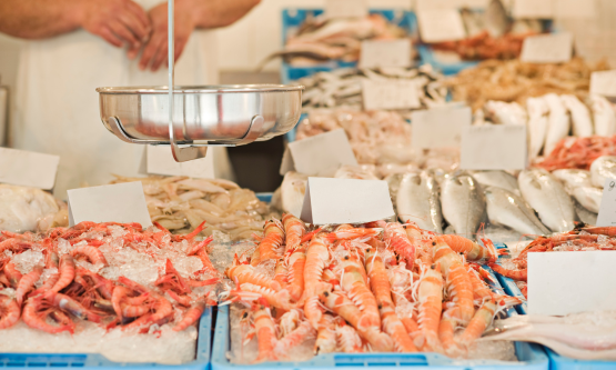 Vis online bestellen