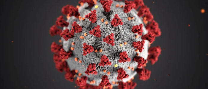 6 Natuurlijke manieren om je immuunsysteem te versterken!