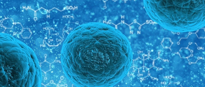 Hoe werkt autofagie en wat zijn de voordelen?