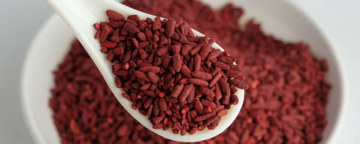Wat is Monacoline K en wat is de invloed op het cholesterolgehalte?