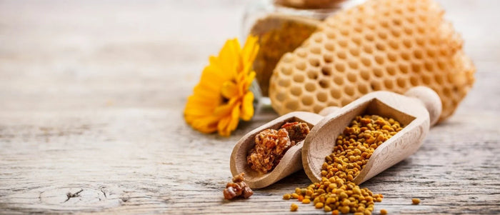 Propolis: Wat is het nu precies en wat zijn de voordelen?