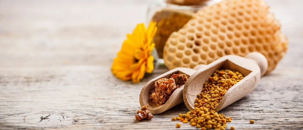 Propolis: Wat is het nu precies en wat zijn de voordelen?
