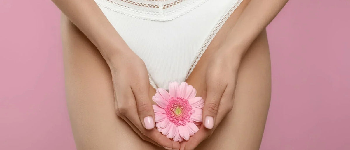 De Hormonale Cyclus van de Vrouw Uitgelegd