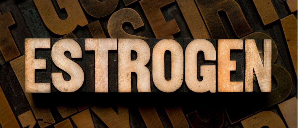 Het oestrogeen hormoon: wat is het en wat doet het?