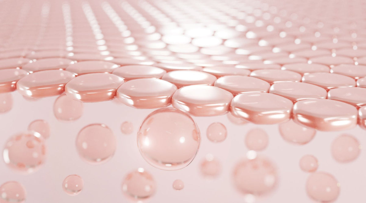 Solugel Collageen poeder: wat is het en wat zijn de voordelen?