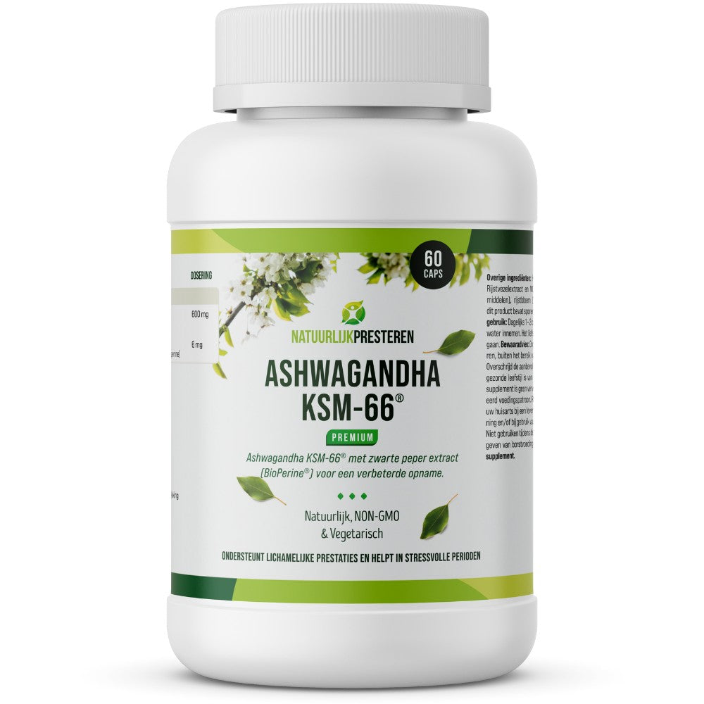 NATLY KSM-66 ASHWAGANDHA main image 0