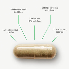 Bladder &amp; Urinary Tract