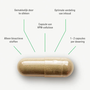 Concentratieboost (Verbeterd!)