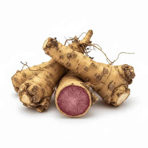 Rhodiozen® Rhodiola Rosea extract