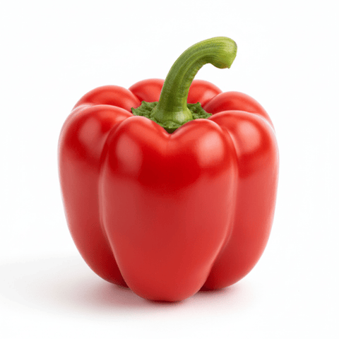 Zwarte peper extract - Bioperine®