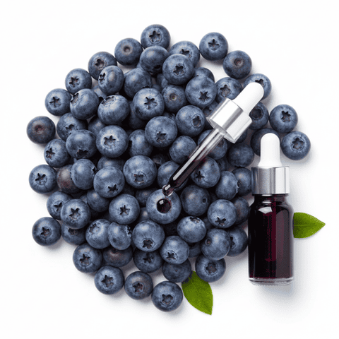 Bosbessen extract