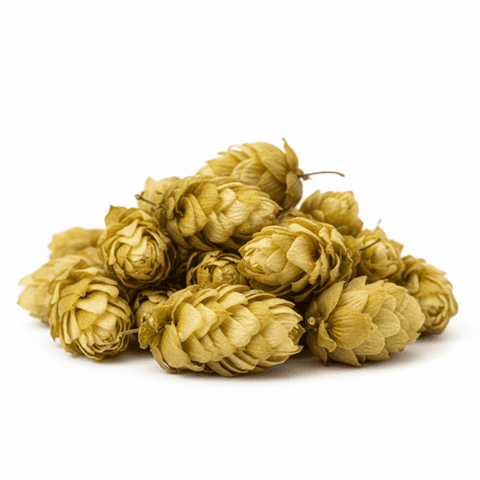 Hop extract