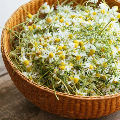 Zinkbisglycinaat