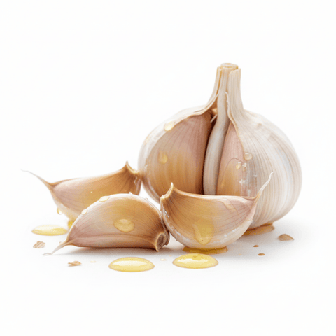 Knoflook extract