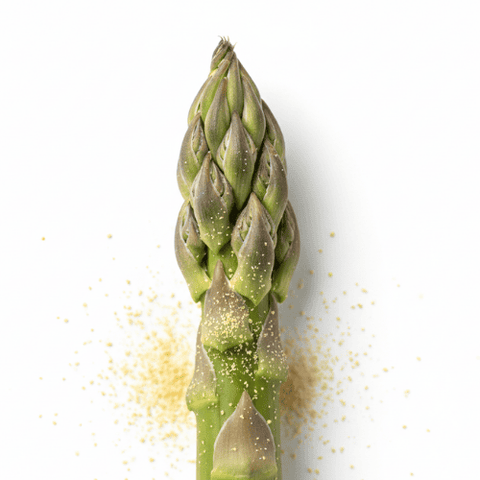 Vitamine B1